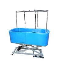 Professional Electric Lift Pet Grooming Bath with Paw Prints - Blue 