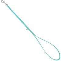 Jelly Pet Grooming Loop 3/8" x 18" - Teal