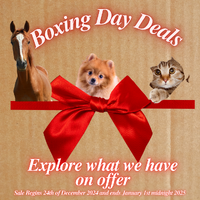 Boxing Day Deals